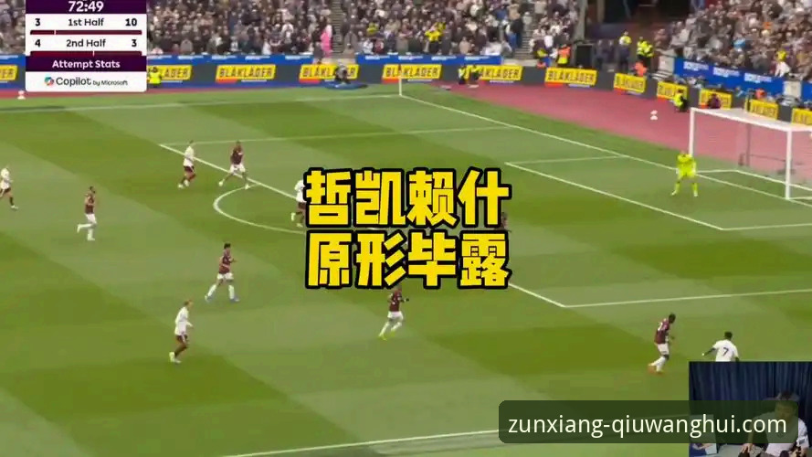 哲凯赖什20球里程碑详解：英超射手榜第三位的技术评测
